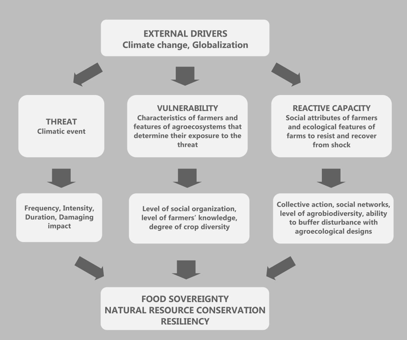 Image of factors influencing resilience of peasant communities