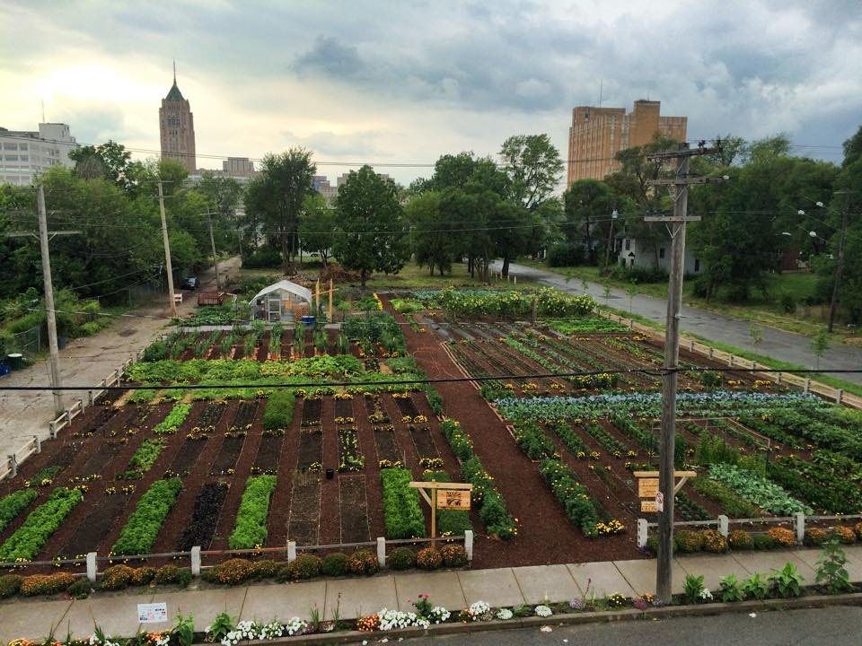 detroit+urban+agriculture.jpg